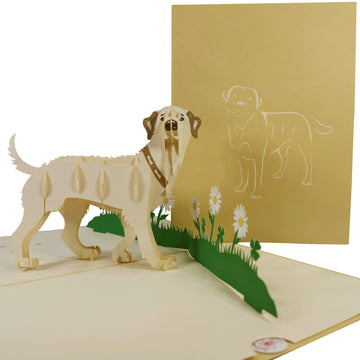 Golden Labrador 3D Pop Up Card UK